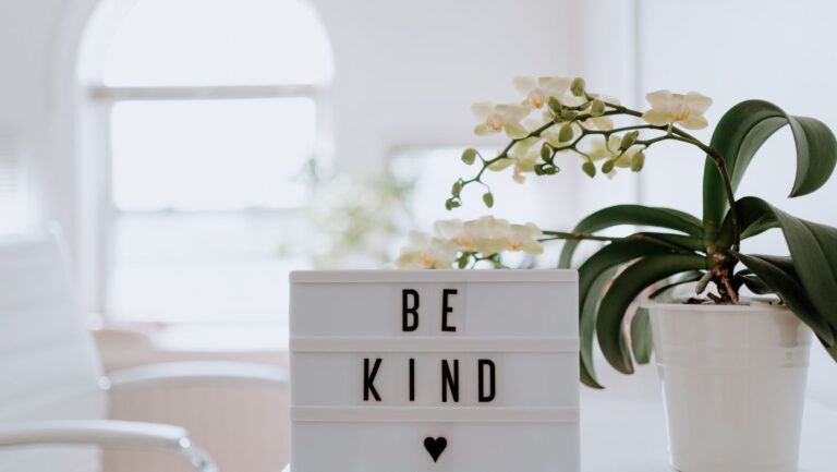 Be Nice: A Guide to Mindful Kindness