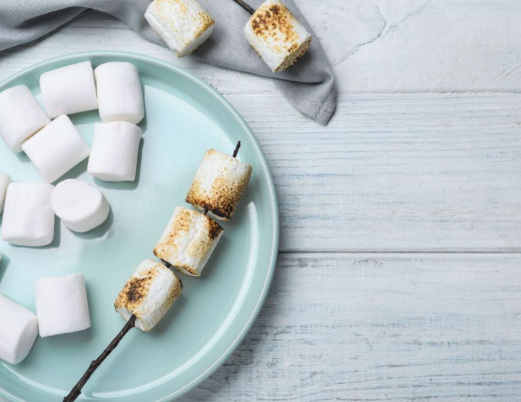 Tasty S'mores as a perfect road trip food