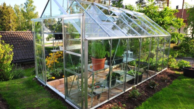 Build Your Own DIY Greenhouse Easily